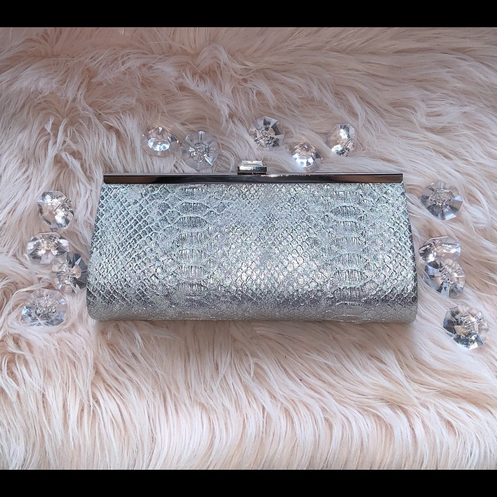Silver Snake Print Clutch Purse